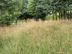 -中国天府农业博览园