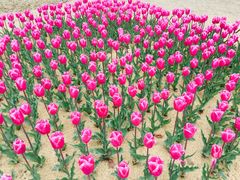 -公益图书馆(江南大学店)