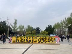 -曹州牡丹园