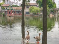 -东莞市可园博物馆