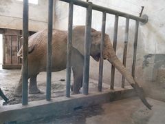 -石家庄市动物园