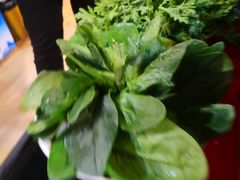 -海捞工坊泉水火锅