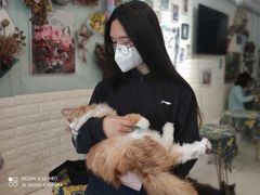 -平行世界·猫咖(首经贸店)