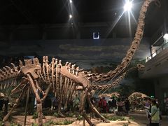 -自贡恐龙博物馆