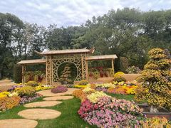 -上海共青森林公园