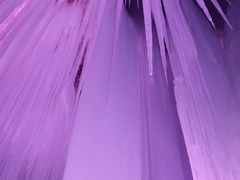 -芦芽山旅游度假区