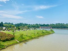 -上海海湾国家森林公园