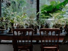 -自由生长植物工作室(深港花卉中心店)