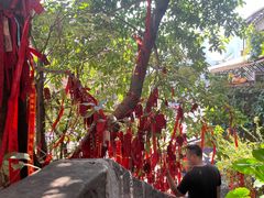 -重庆十八梯传统风貌区