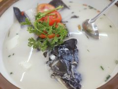 -全乐鱼馆·淳牌有机鱼直营店
