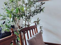 -候鸟咖啡(前门店)