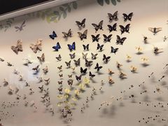 -香港科学馆