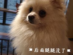 -萌喵咖啡屋(人民东路4号口M16商铺店)