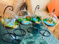 -杰爱月子护理中心