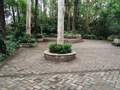 -南岗山公园