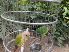 -南宫五洲植物乐园