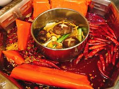 -蜀九香火锅(九眼桥店)