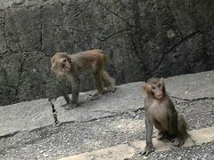 -黔灵山公园