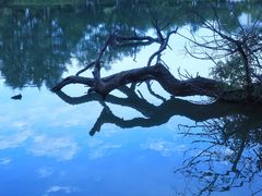 -黑龙潭公园
