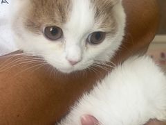 -瑞鹏宠物医院·宠保定点·心脏科·内科(御桥分院)