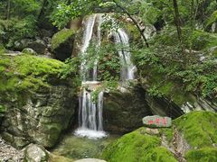 -牛背梁国家森林公园