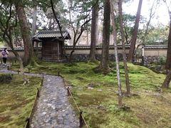 -西芳寺(苔寺)