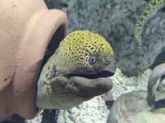 -福州罗源湾海洋世界旅游区