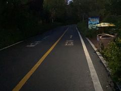 -济南野生动物世界