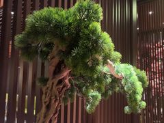 -老头儿油爆虾(星光一期店)