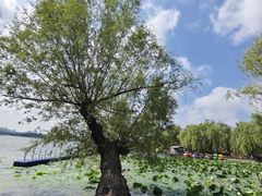 -长春市南湖公园