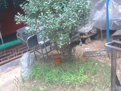 景观位-东来顺饭庄(王府井步行街店)