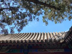 -颐和园