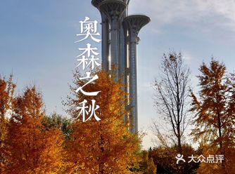 过秋天 | 奥林匹克森林公园的黄叶实况