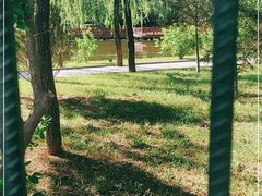 -黄帝陵