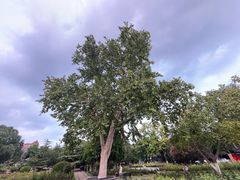 -睦南公园