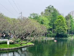 -晓港公园