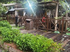 -天怡·鱼工厂(梅溪湖店)