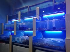 水产区-老虎滩大连海鲜烧烤(建邺云锦路总店)