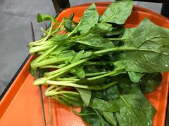 -小郡肝串串香火锅(金桥店)