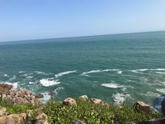 -广东惠东海龟国家级自然保护区