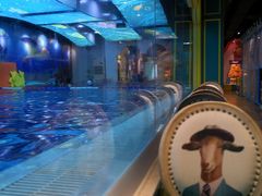 -ABC Swim亲子游泳俱乐部(河西店)