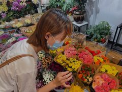 -溪岸路花鸟市场