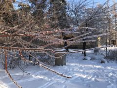 -长春市南湖公园