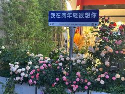 -阅年轻·AI家庭健康体质调理