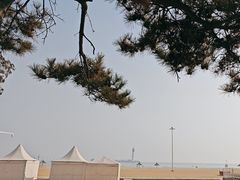 -南戴河旅游度假区