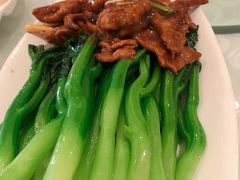 -金蝉食府(维吉奥广场店)