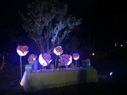 -东航云逸酒店·宴会厅