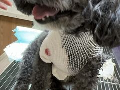 -爱派特动物医院·全科诊疗中心