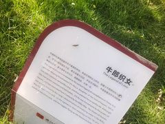 -西安曲江寒窑遗址公园