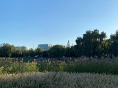 -中关村生命科学园